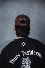 Tours Taxidermy Brown Hat